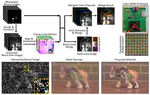 Seeing Photons in Color